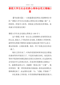 暑假大学生社会实践心得体会范文精编2篇