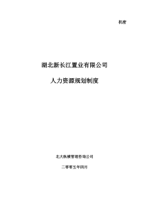 北大纵横—湖北新长江地产湖北新长江人资源规划制度