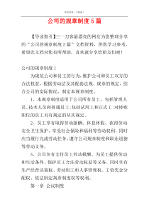 公司的规章制度5篇