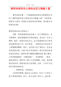 教师岗前培训心得体会范文精编5篇