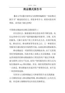 商业模式报告书