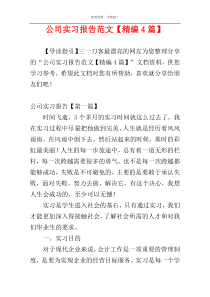 公司实习报告范文【精编4篇】