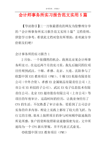 会计师事务所实习报告范文实用5篇