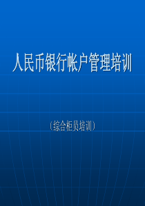 人民币银行帐户管理培训(综合柜员)