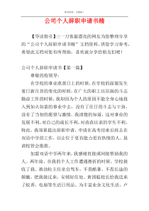 公司个人辞职申请书精