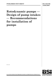 BS PD CEN TR 13930-2009 Rotodynamic pumps. Design 