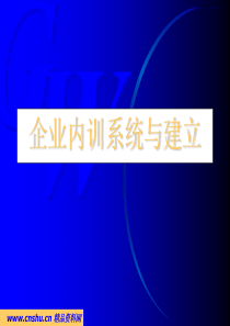 企业内训系统与建立