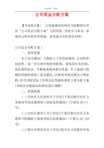 公司奖金分配方案