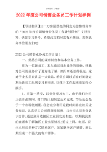 2022年度公司销售业务员工作计划样例