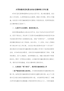 乡贯彻落实县纪委全体会议精神的工作汇报