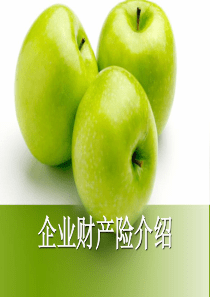 企业财产险培训