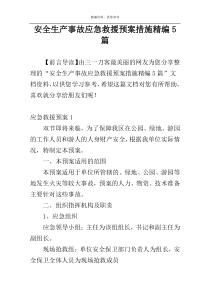 安全生产事故应急救援预案措施精编5篇