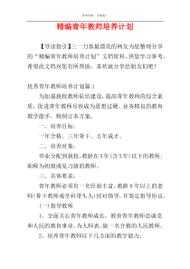 精编青年教师培养计划