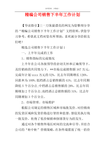 精编公司销售下半年工作计划