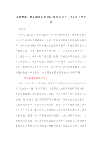 县委常委常务副县长在2022年安全生产工作会议上的讲话