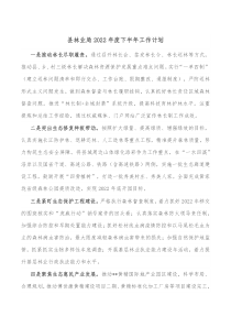 县林业局2022年度下半年工作计划