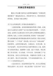 刑事犯罪调查报告