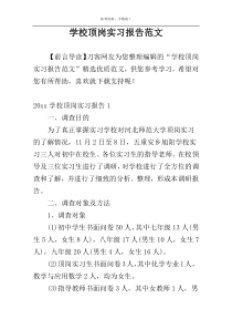 学校顶岗实习报告范文