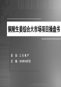 XXXX年10月7日三元地产·铜陵生姜综合大市场项目操盘书