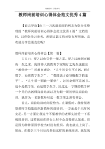 教师岗前培训心得体会范文优秀4篇