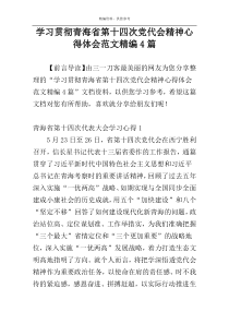 学习贯彻青海省第十四次党代会精神心得体会范文精编4篇