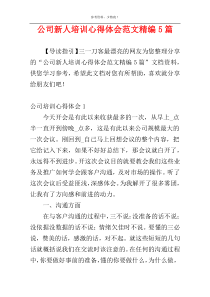 公司新人培训心得体会范文精编5篇