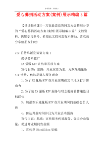 爱心募捐活动方案(案例)展示精编3篇