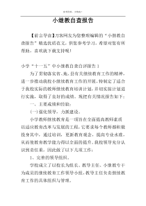 小继教自查报告