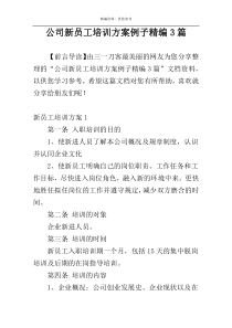 公司新员工培训方案例子精编3篇