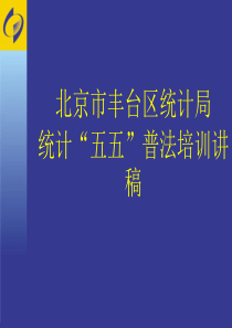 北京市丰台区统计局统计“五五”普法培训讲稿