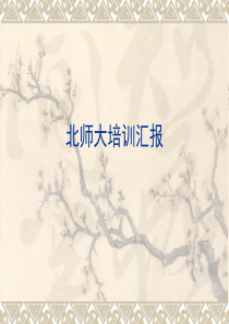 北师大二次培训