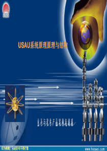 华为-USAU系统原理与结构培训胶片V30