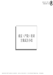 南京产险-培训方案试点小结