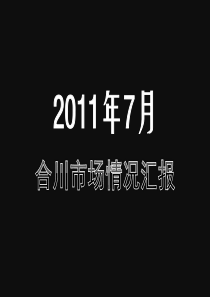 XXXX年7月合川房地产项目市场情况汇报_10页