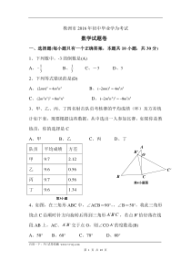 2016年湖南省株洲市中考数学试题