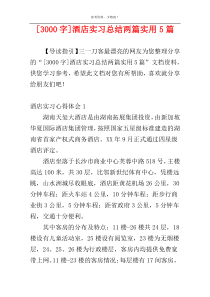 [3000字]酒店实习总结两篇实用5篇