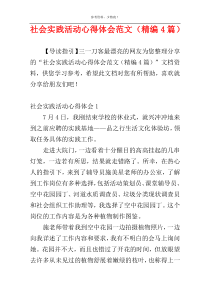 社会实践活动心得体会范文（精编4篇）