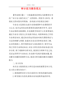 审计实习报告范文