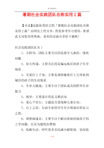 暑期社会实践团队名称实用2篇