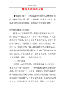 廉政总结实用5篇