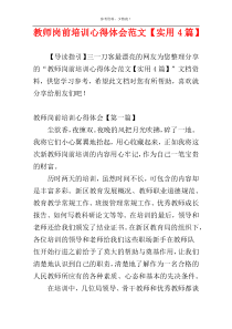 教师岗前培训心得体会范文【实用4篇】