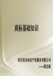 商标基础知识(培训课件)新