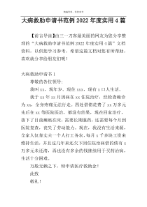 大病救助申请书范例2022年度实用4篇