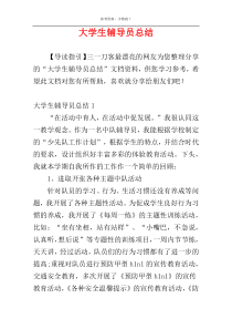 大学生辅导员总结