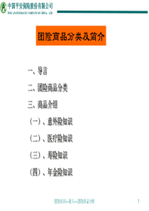 团险制式培训_团险商品分类及简介