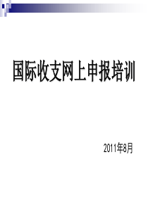 国际收支网上申报培训稿