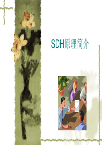 培训__SDH原理