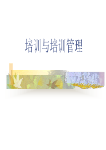 培训与培训管理