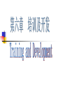 培训与开发（PPT 112页）