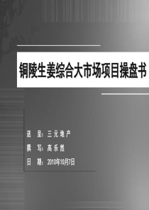 XXXX年三元地产--铜陵生姜综合大市场项目操盘书